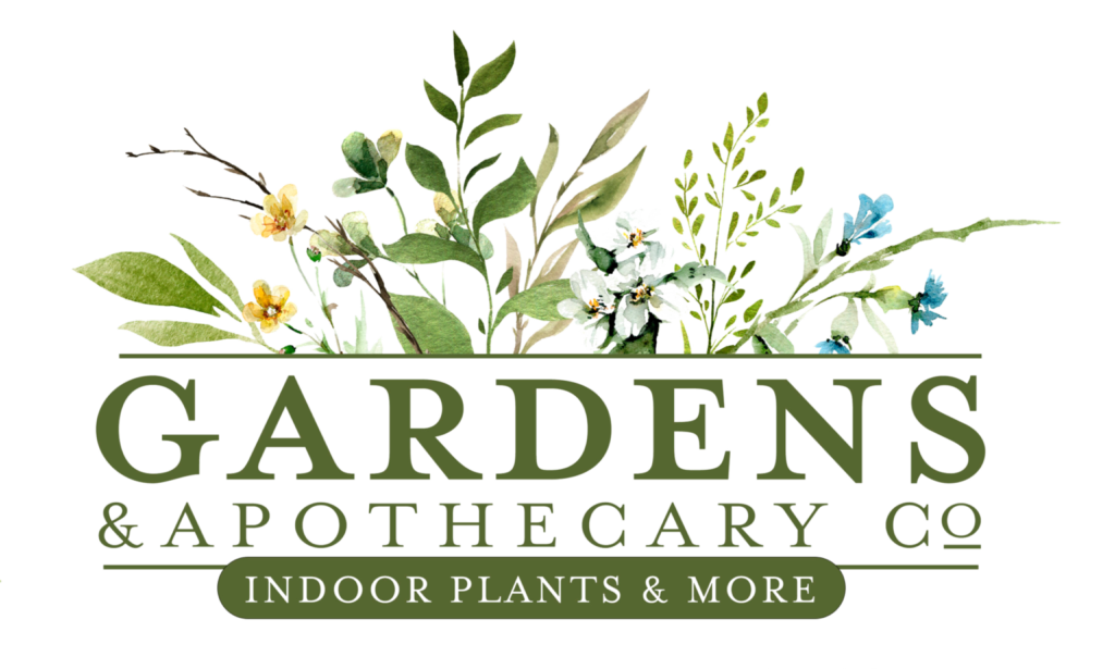 gardens apothecary co. is a plant shop in springfield tn.