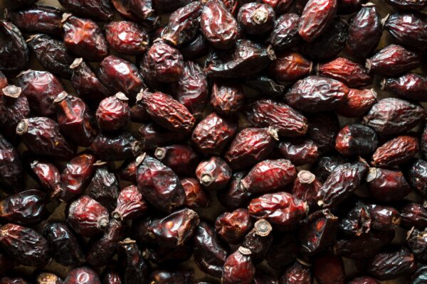 Background of dry rose hips close-up