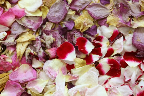 background of homemade dried rose petals