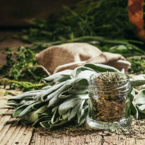 Dried sage in a glass jar, fresh sage