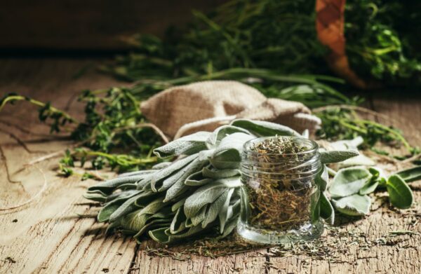 Dried sage in a glass jar, fresh sage