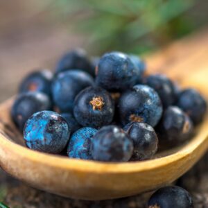 Juniper berries