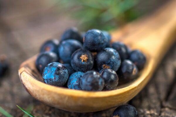 Juniper berries