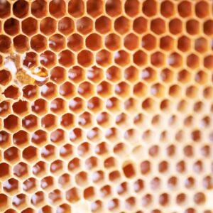Wooden frame with honeycomb full of honey. Close up background for design. Macro. Honey beehive